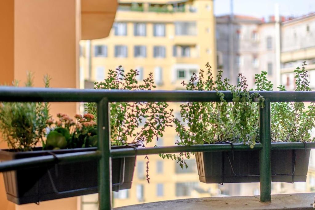Riboty 10 Suites Rome Exterior photo